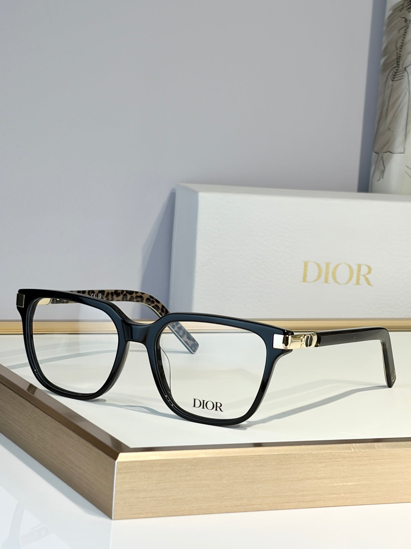 DIOR Sunglasses-CDS2L