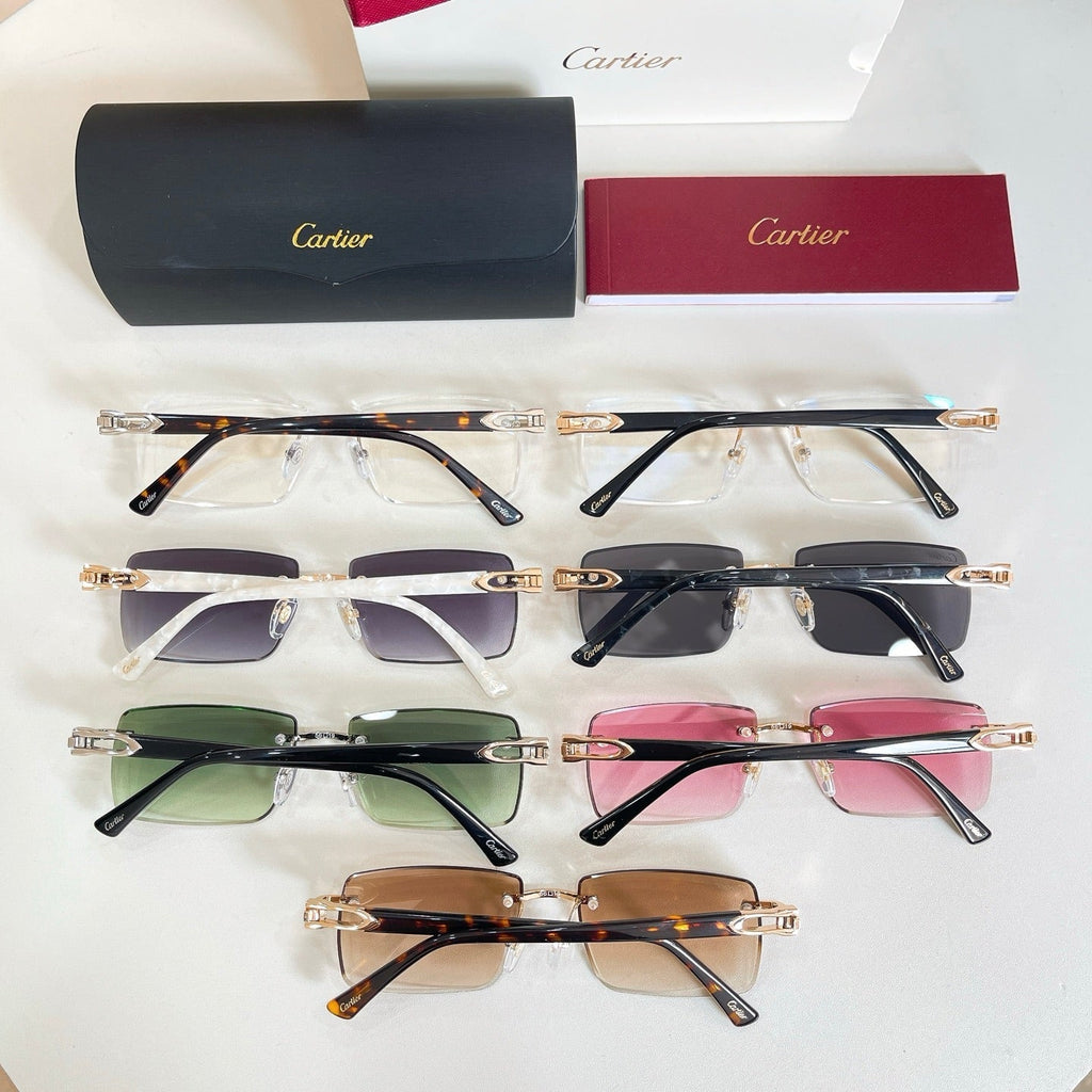 Cartier Sunglasses-CT0582S